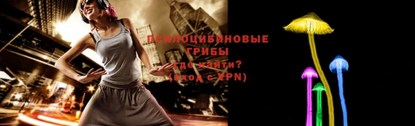 ГАЛЛЮЦИНОГЕННЫЕ ГРИБЫ Алзамай