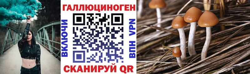 Галлюциногенные грибы мухоморы  цена   Нижнеудинск 